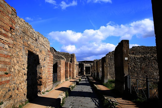 Skip the Line Guided Tour of Pompeii led by an Archaeologist - The Forum and the city’s public life