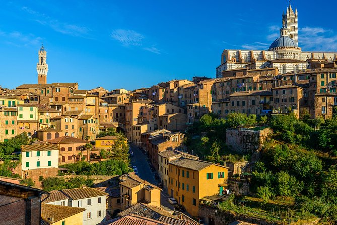 Skip the Line: Siena Duomo and City Walking Tour - Starting at Basilica San Domenico