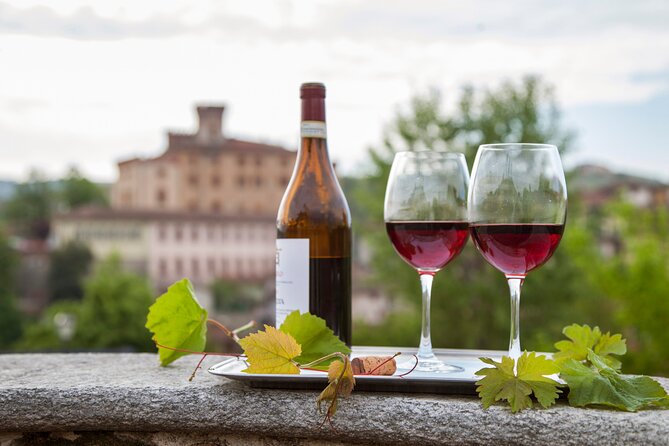 Small-Group Barolo Wine Tasting, Alba & UNESCO Piedmont Hills - The family cellar explains what makes Barolo different