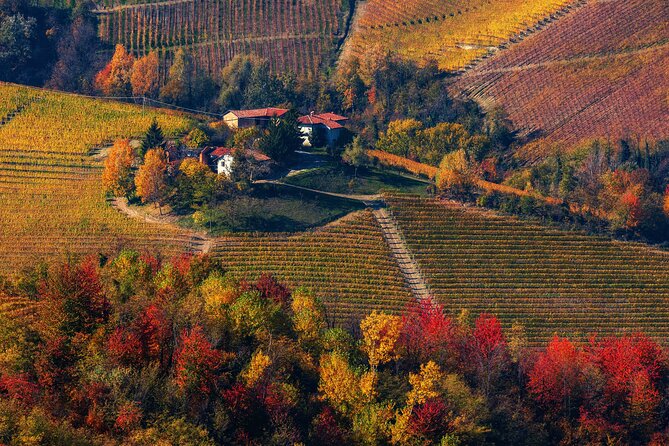 Small-Group Barolo Wine Tasting, Alba & UNESCO Piedmont Hills - Who will get the most from this Barolo day trip