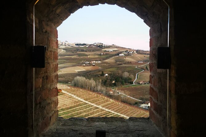 Small-Group Barolo Wine Tasting, Alba & UNESCO Piedmont Hills - Transport, timing, and the day’s practical limits