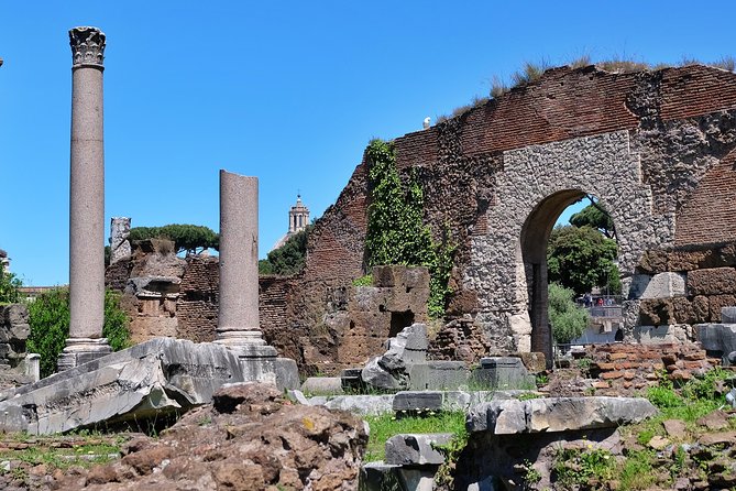 Small Group Colosseum, Roman Forum & Palatine Hill Tour - Timing, heat, and the real pace