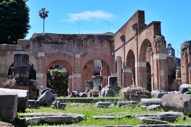 Small Group Colosseum, Roman Forum & Palatine Hill Tour - How to avoid the biggest problems
