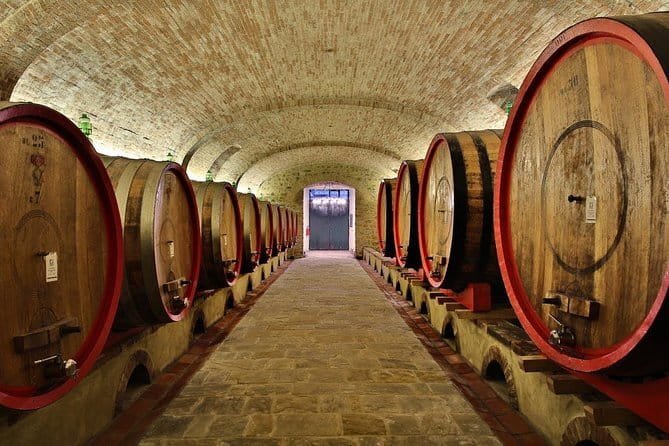 SMALL-GROUP Wine Safaris: Tuscan Wine Tasting Tours from Florence - What happens at the wineries