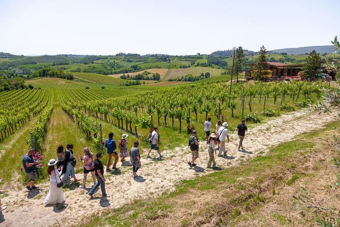 SMALL-GROUP Wine Safaris: Tuscan Wine Tasting Tours from Florence - Price, group size, and overall value