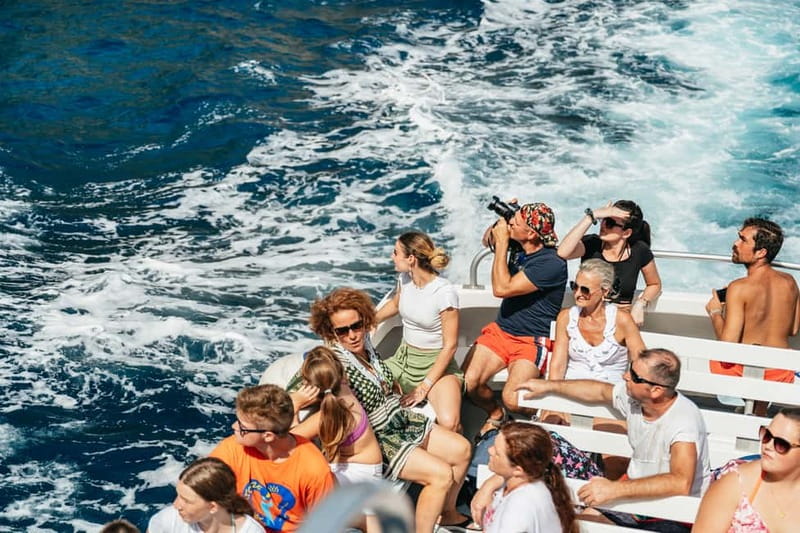 Sorrento: Coast and Capri Boat Trip with Limoncello Tasting - What the $81 price really buys you