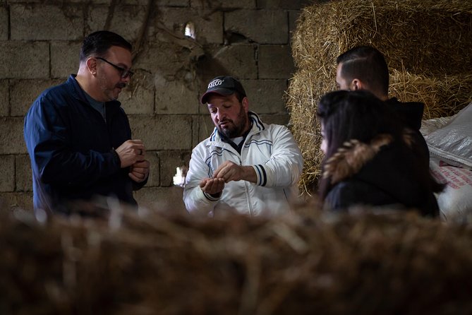 Sorrento Farm by Tuk Tuk: Cheese, Limoncello & Hands-On Pizza - Who will enjoy this tour most