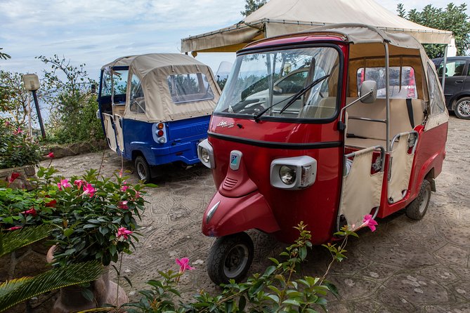 Sorrento Farm by Tuk Tuk: Cheese, Limoncello & Hands-On Pizza - Timing, comfort, and useful planning advice