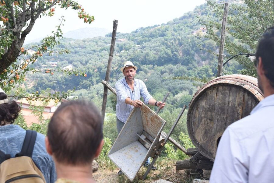 Sorrento: Farm Tour with Cheese Tasting & Pizza Making Class - Key points to know