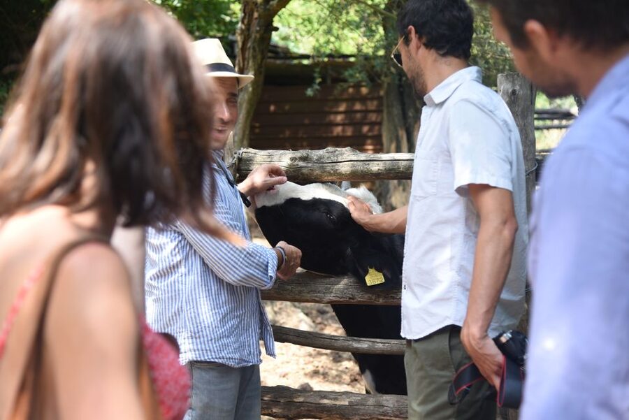 Sorrento: Farm Tour with Cheese Tasting & Pizza Making Class - The family welcome and group atmosphere