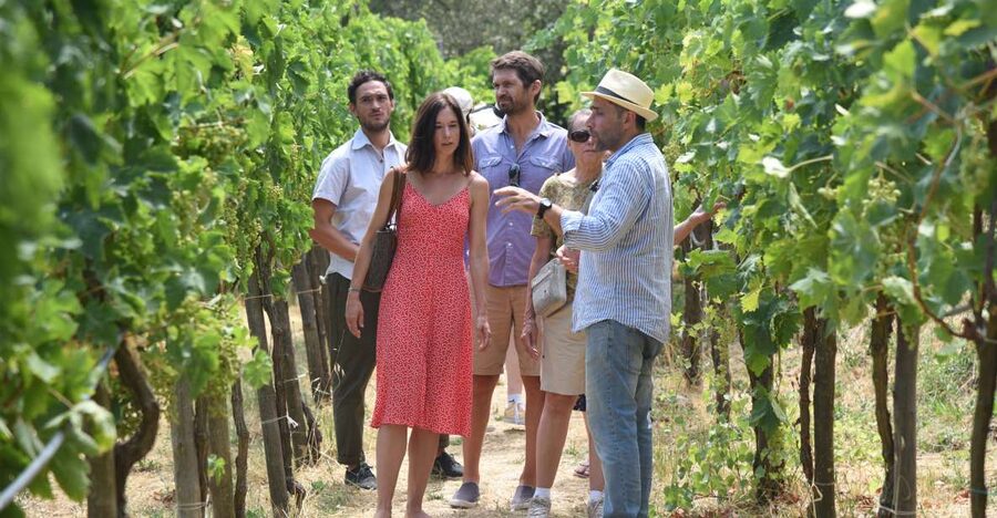 Sorrento: Farm Tour with Cheese Tasting & Pizza Making Class - Finding the pickup in central Sorrento