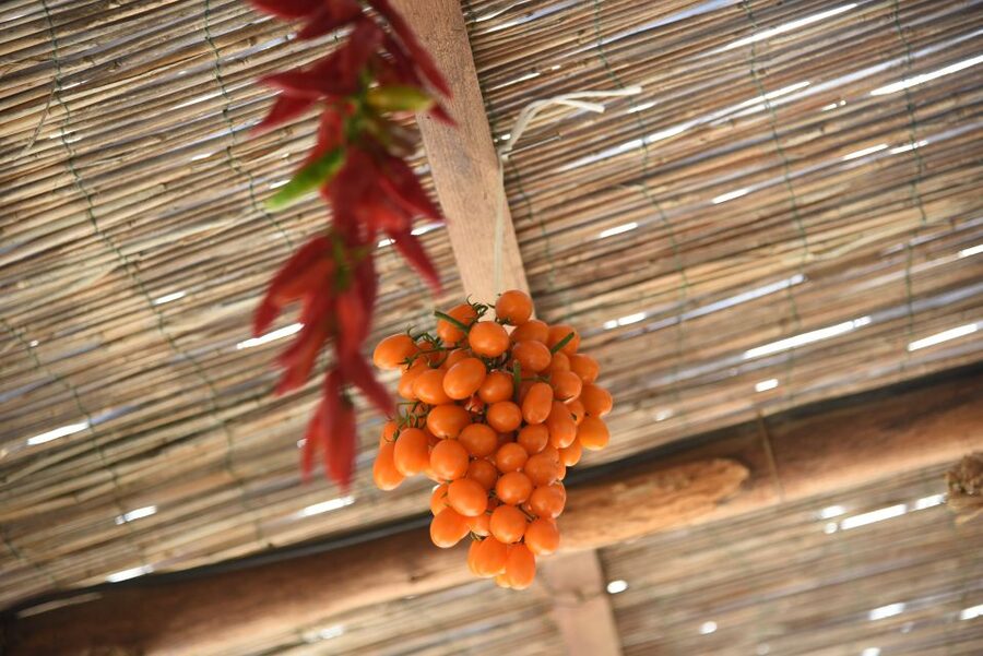 Sorrento: Pizza Lesson, Wine, and Limoncello at a Local Farm - Should you book this Sorrento pizza class?