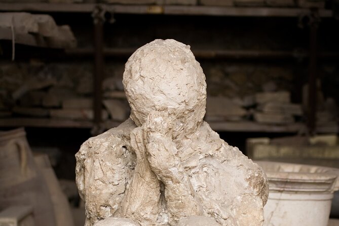 Sorrento & Pompeii Guided Day Trip from Rome with Optional Pickup - Group size and guide quality