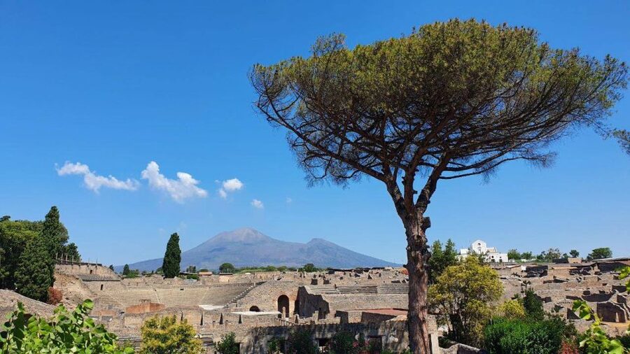 Sorrento: Skip-the-Line Pompeii Express Tour by Train - Free Time After the Guided Visit