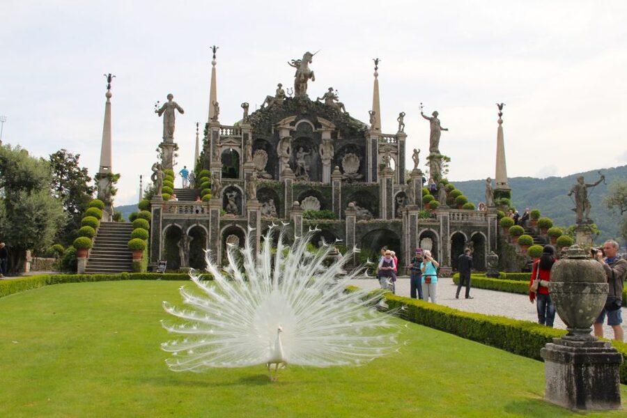 Stresa: 3 Borromean Islands Boat Tour - Who will get the most from this boat tour
