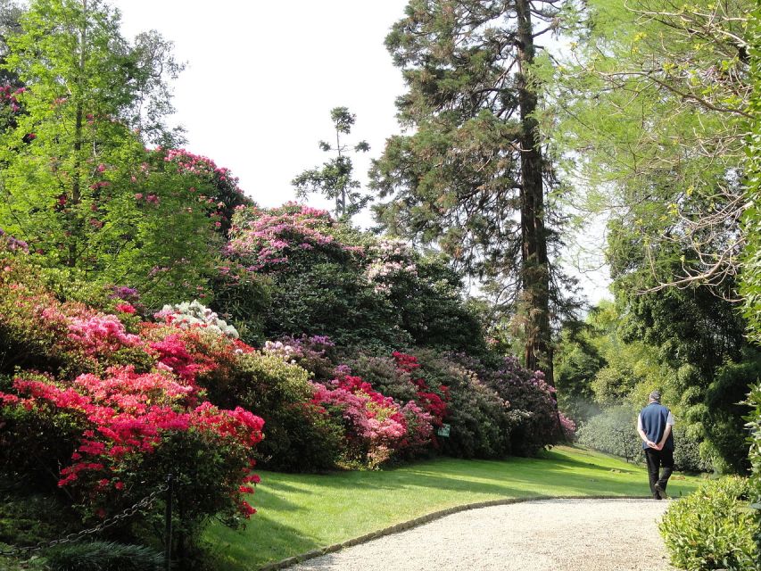 Stresa: 3 Borromean Islands Boat Tour - Isola Madre and one of Italy’s oldest gardens