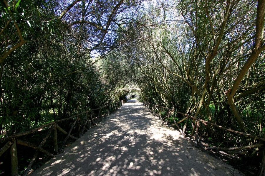 Syracuse: Neapolis Archaeological Park Small Group Tour - How good is the guiding?