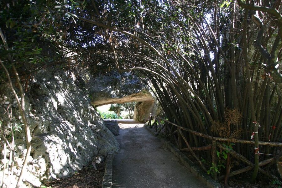 Syracuse: Neapolis Archaeological Park Small Group Tour - Why Neapolis matters in Syracuse
