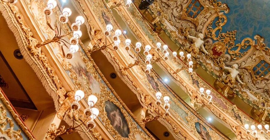 The Majestic Teatro La Fenice: Guided Tour in Venice - Why La Fenice matters in Venice