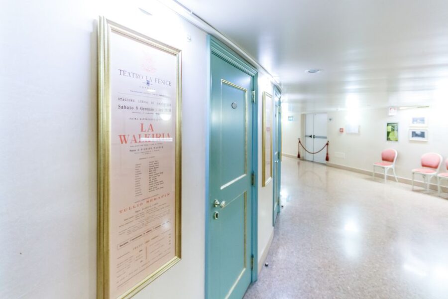 The Majestic Teatro La Fenice: Guided Tour in Venice - From Rossini and Bellini to modern productions