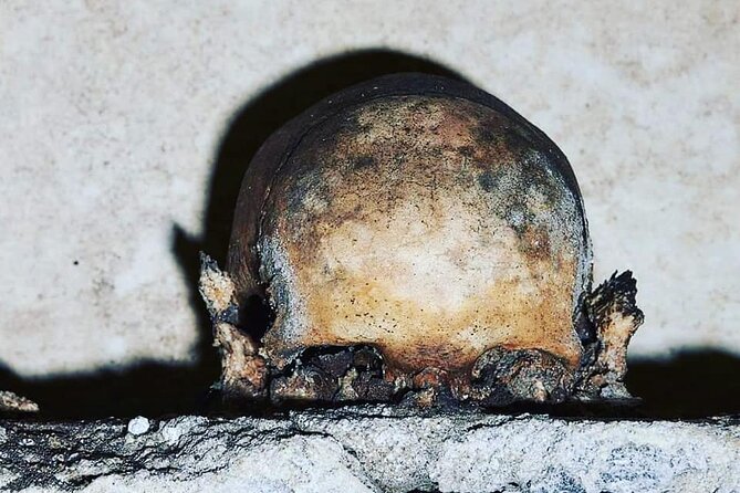 The Skull with the Ears: the Cult of the Dead in the Church of S. Luciella - Key points about Santa Luciella