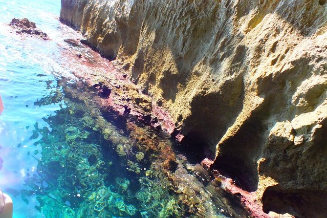 Tour of the island of Ortigia and exploration of sea caves with baths. - Guides, language, and the human side of the trip