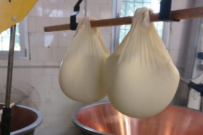 Tour Parmigiano Reggiano dairy and Parma ham - Into the Langhirano hills for Prosciutto di Parma