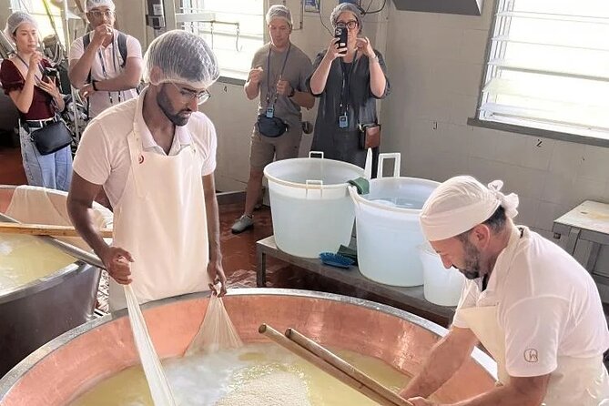 Tour Parmigiano Reggiano dairy and Parma ham - Is $151.16 a fair price?
