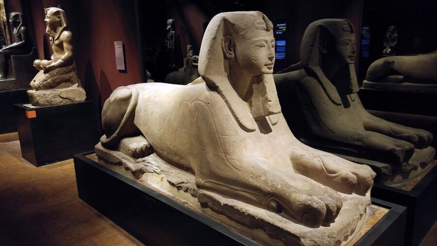 Turin: Guided Egyptian Museum Tour - Key points to know before you book