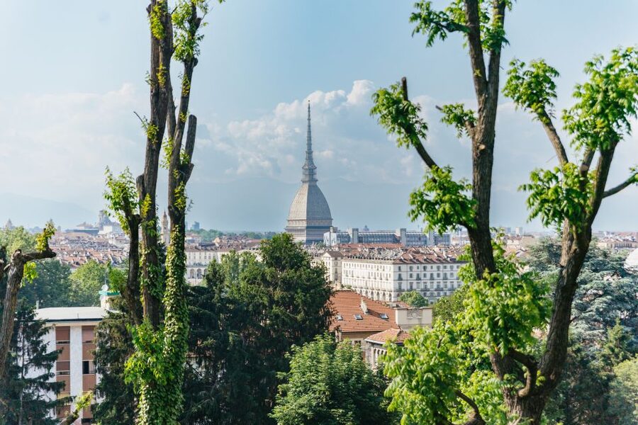 Turin: Hop-on Hop-off Bus Tour with 24 or 48-Hour Ticket - Red Line: Turin’s historic center and riverside views