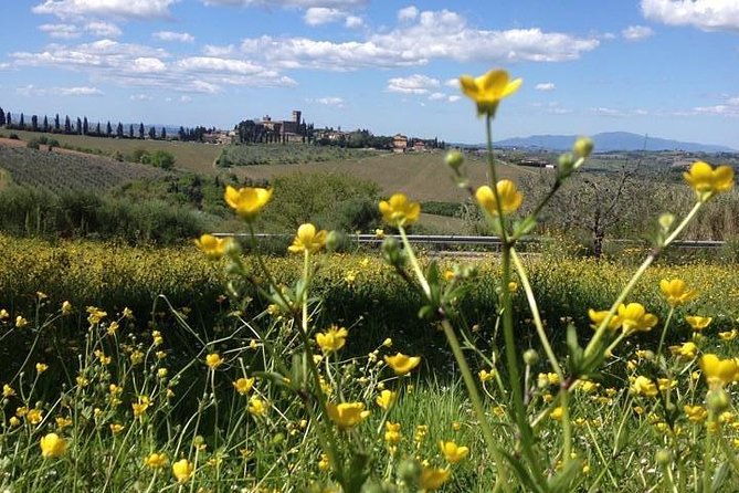 Tuscany Bike Tours Through the Chianti Hills with Wine Tasting - Guides who shape the day