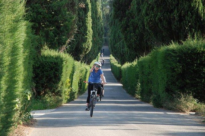 Tuscany Bike Tours Through the Chianti Hills with Wine Tasting - Riding through vineyards and olive groves