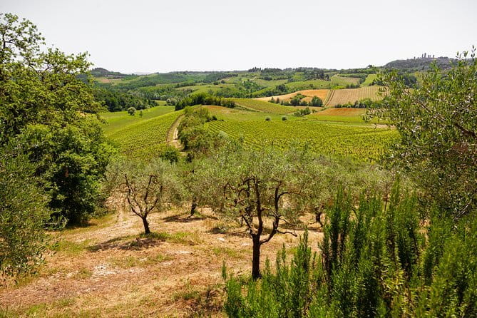 Tuscany Day Trip from Florence: Siena, San Gimignano, Pisa and Lunch at a Winery - Siena and Its Shell-Shaped Piazza