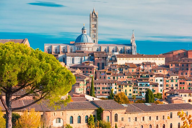 Tuscany: Day Trip to Pisa, Siena, San Gimignano, and Chianti - A Tuscan winery lunch with four wines