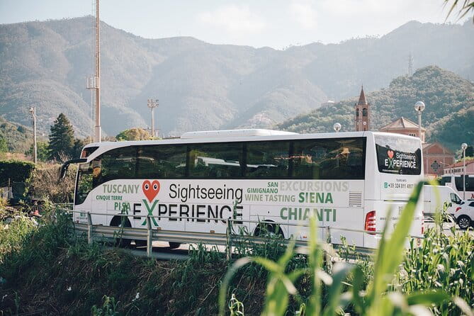 Tuscany Experience: Pisa, Siena, San Gimignano & Wine Tasting - Walking, group size, and the pace