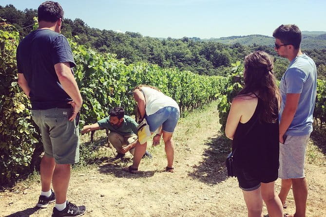 Tuscany Vespa Tours Through the Hills of Chianti - Lunch at a Tuscan villa or castle estate