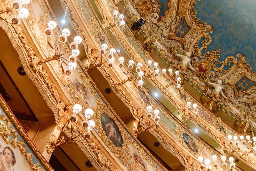 Venice: La Fenice Opera House Entry Ticket with Audio Guide - Who will enjoy this visit most