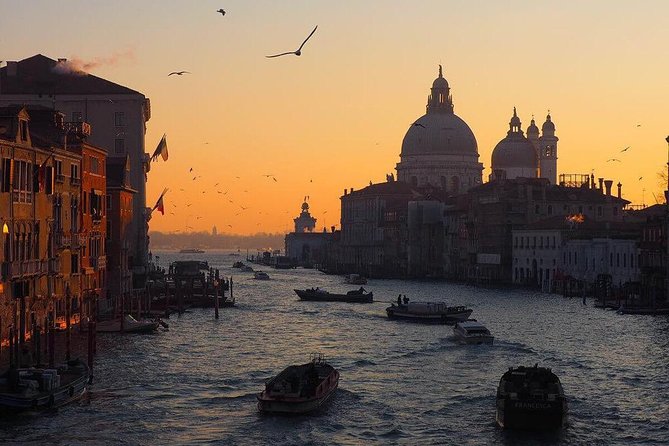 Venice Marco Polo Airport Private Arrival Transfer via Motorboat - From Marco Polo arrivals hall to the Venice lagoon