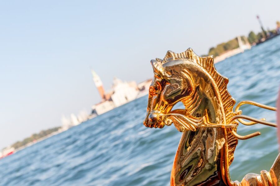 Venice: Traditional Shared Gondola Ride - Shared seating and the practical compromise