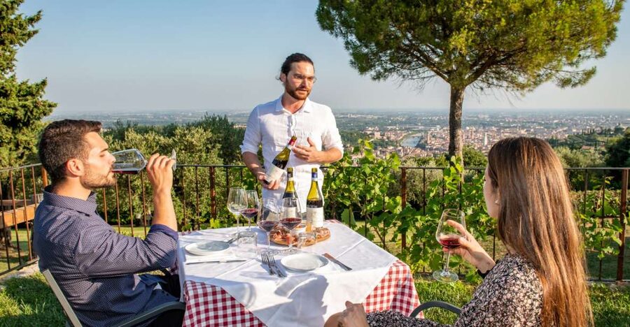 Verona: Wine Tasting with Snacks and Panoramic Views - Five wines, with a strong Valpolicella focus