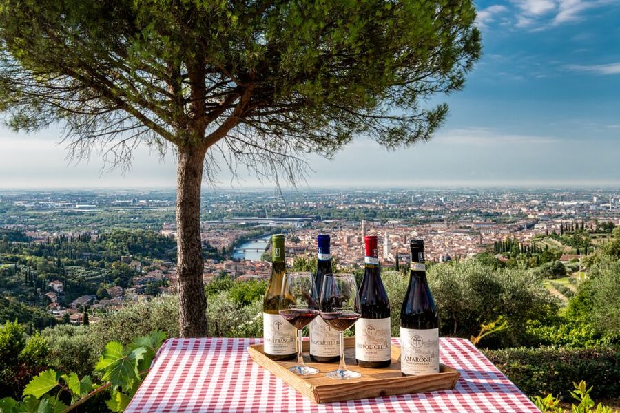Verona: Wine Tasting with Snacks and Panoramic Views - The terrace view is part of the experience