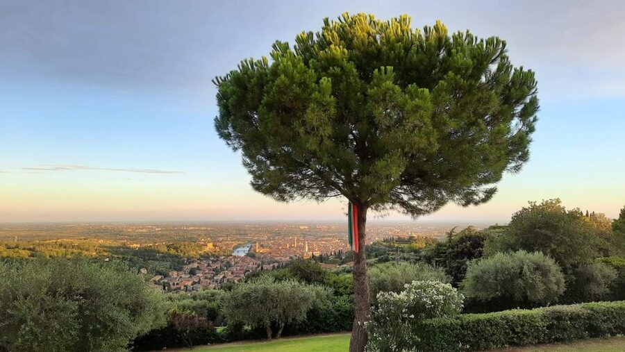 Verona: Wine Tasting with Snacks and Panoramic Views - Is $53 good value?