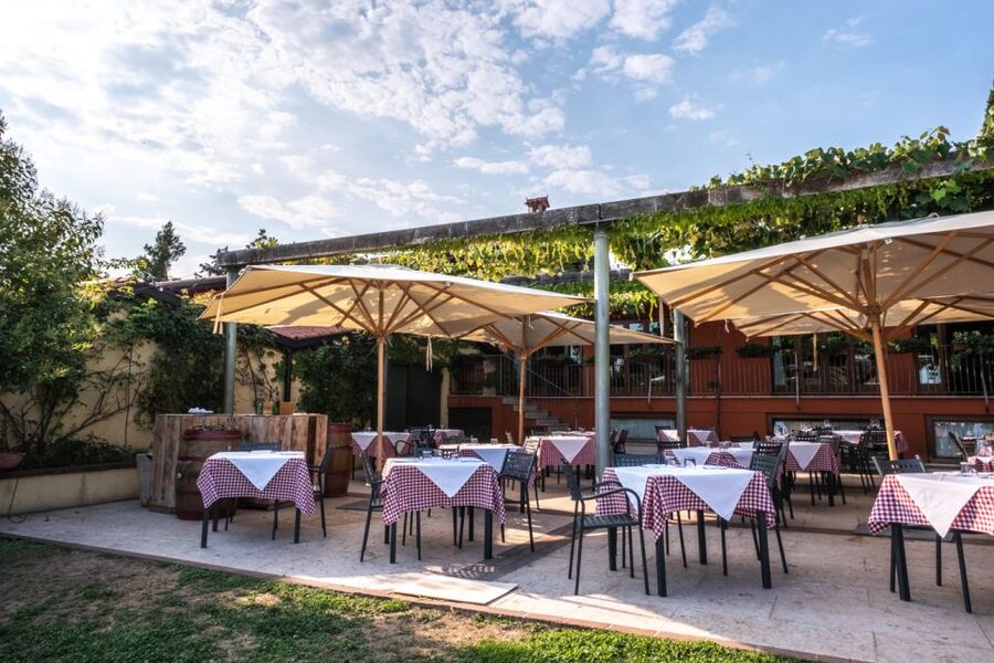 Verona: Wine Tasting with Snacks and Panoramic Views - The 30-minute vineyard and winery tour