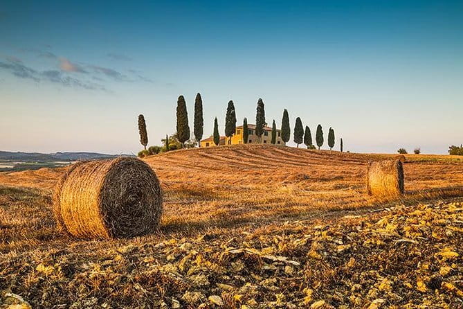 Walking Food Tour of Florence with Tastings and Wine - The guides shape the entire evening