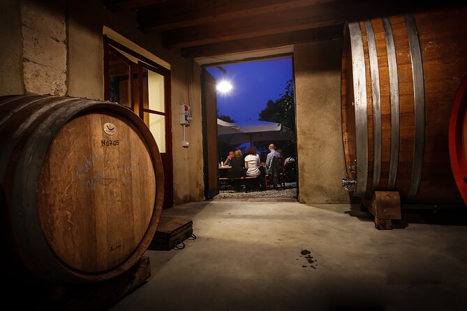 Wine Tasting with Panoramic View of Verona - A hill above Verona, not a tasting room downtown