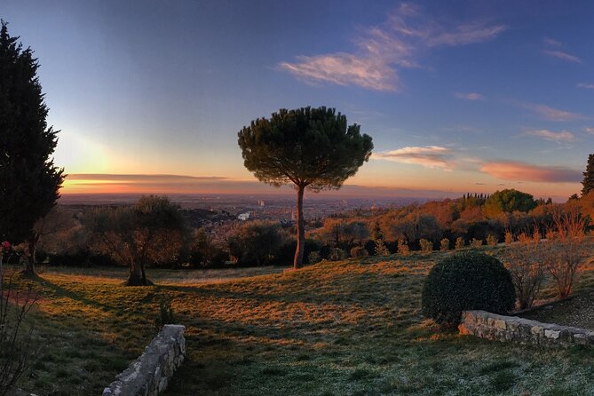 Wine Tasting with Panoramic View of Verona - The vineyard walk and Cantina Giovanni Ederle